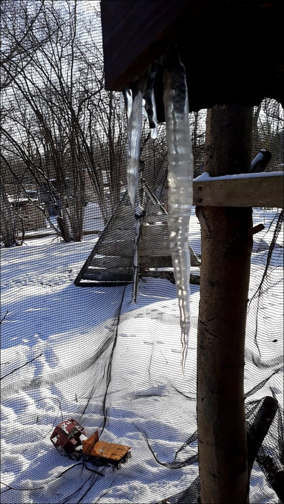 koniec lockdownu - początek sezonu 2021, poligon w katowicach startuje!